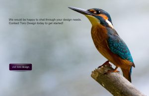 Toro Design - web and graphic design.