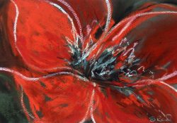 Look at Me! Look at Me!